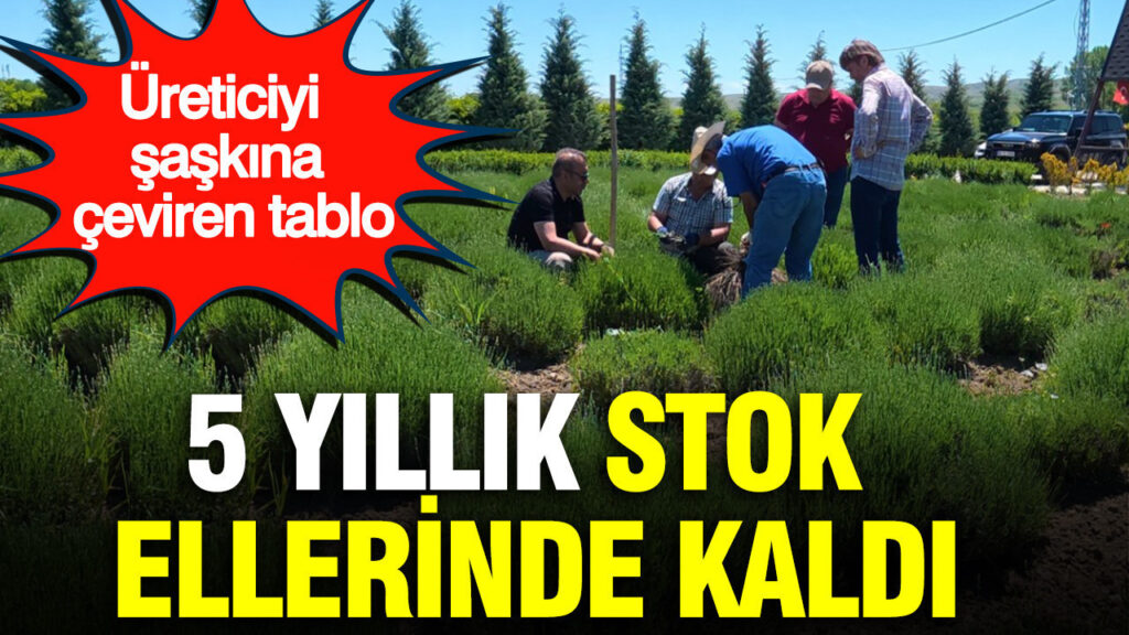haber-gorseli-1787054746091